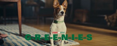 Greenies